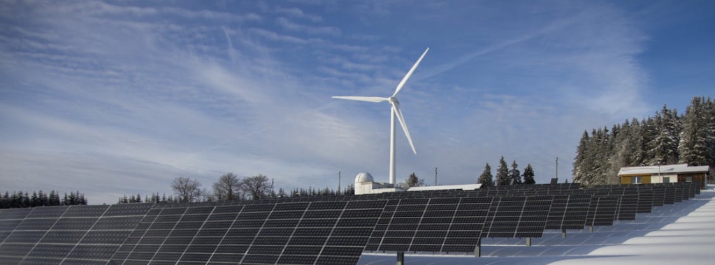 Green Credentials as a Selling Point: Can ESG Boost Valuation?