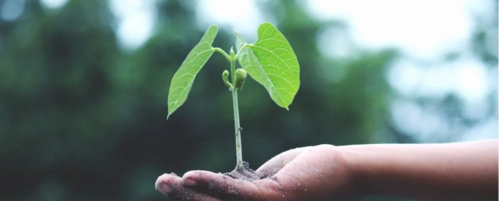 Preparing Your Business for Sale with a Sustainability Audit